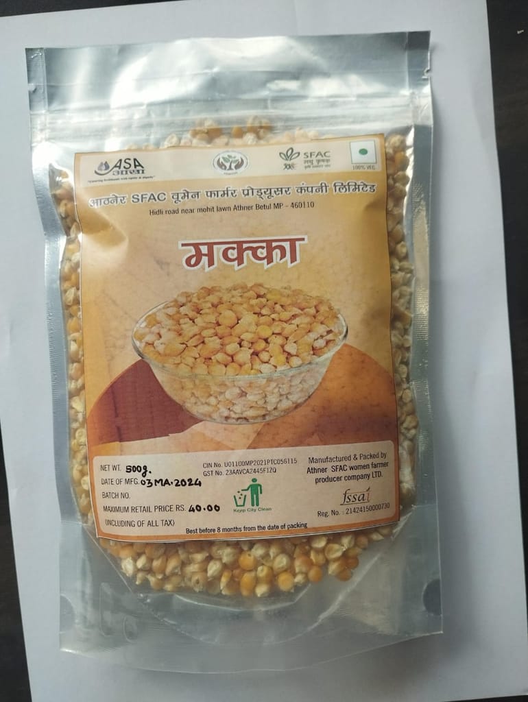 Maize Seed (Corn) view 2