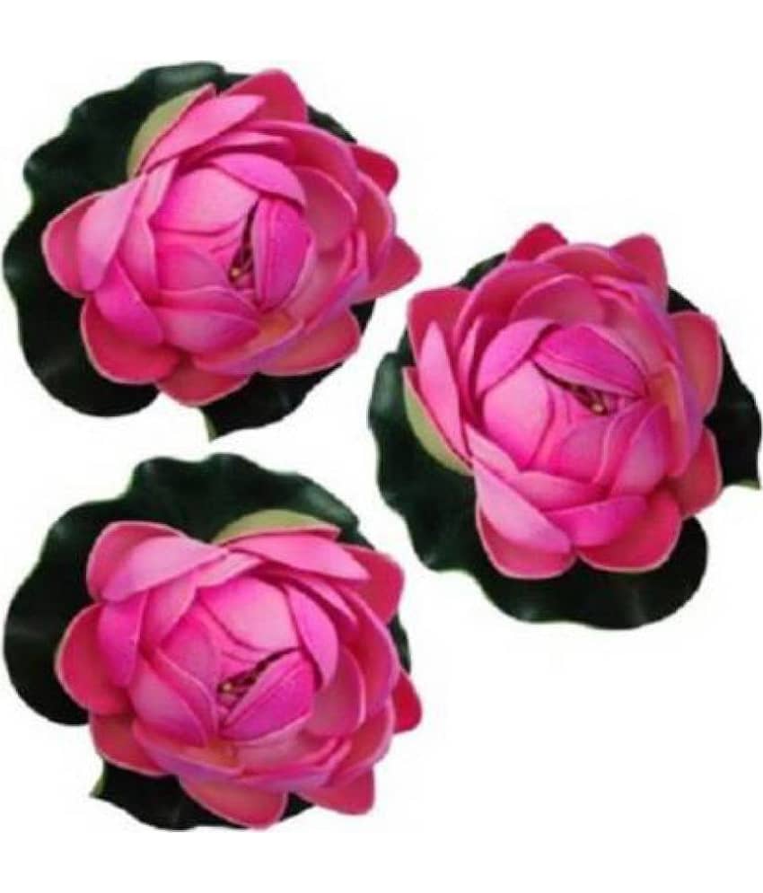 Green plant indoor Lotus Pink Floating Flowers - Pack of 3 view 2