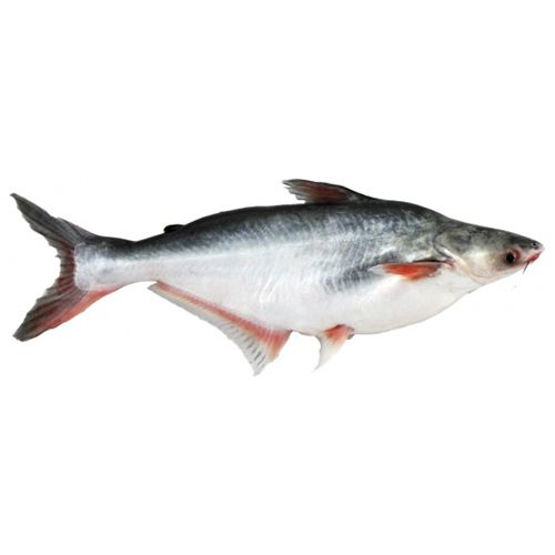 Basa Pangas 1 Kg