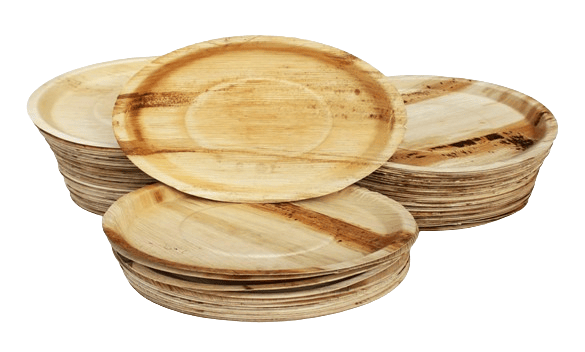 Disposable 10 Inch Round Areca Palm Leaf Plates -100 Pieces in Pack
