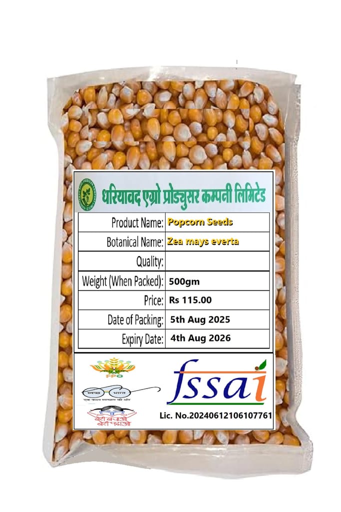 POPCORN SEEDS