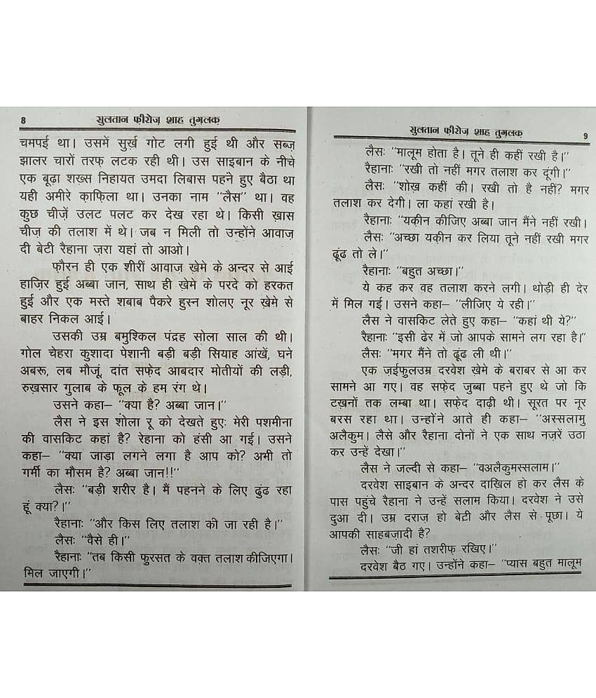 Sultan Feroz Shah Tughlaq Hindi Novel History About The era of Tuglaq Ruler view 2