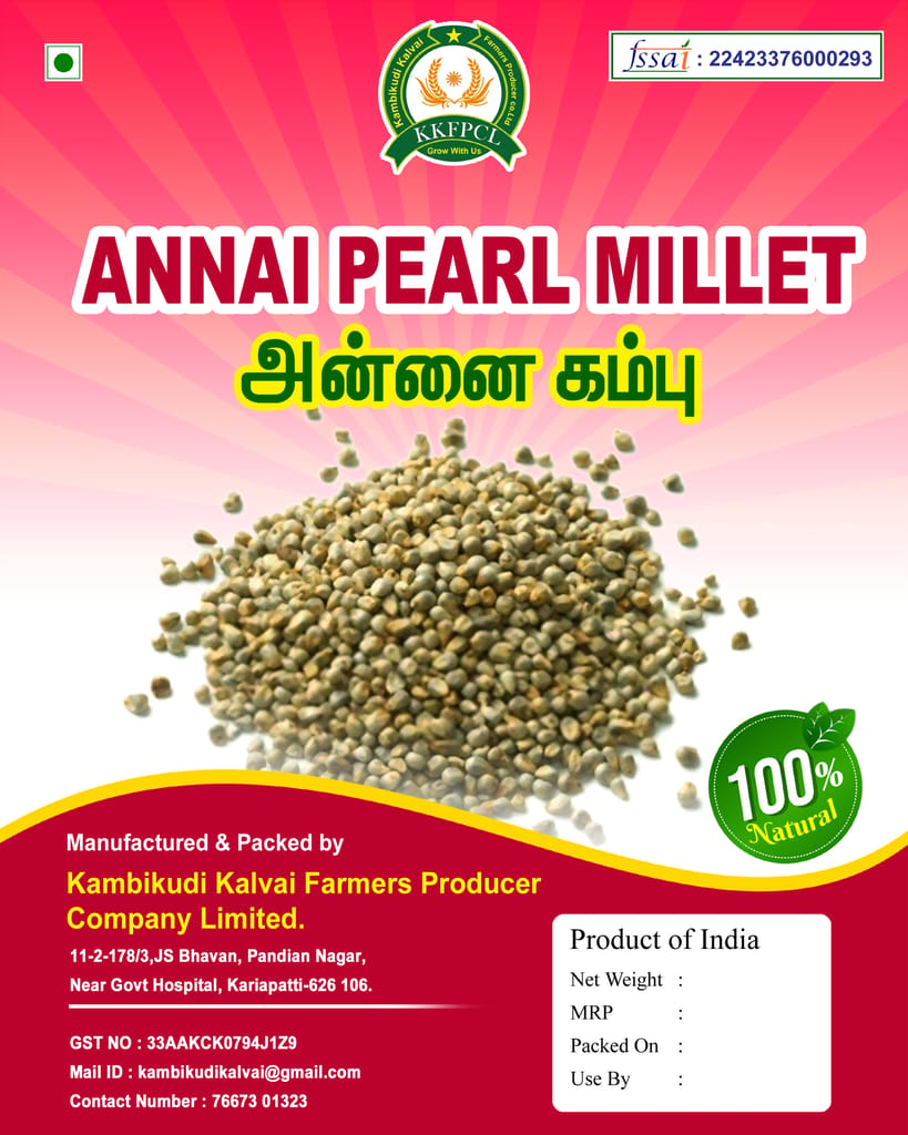 Pearl Millet view 2