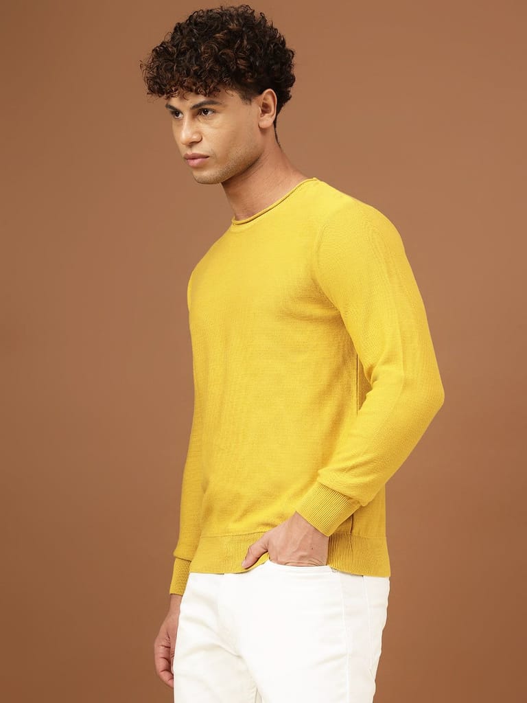 Richlook Men Amber Full Sleeve Sweater view 2