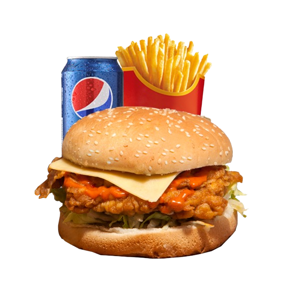 Pulled Chicken Melt Burger Combo