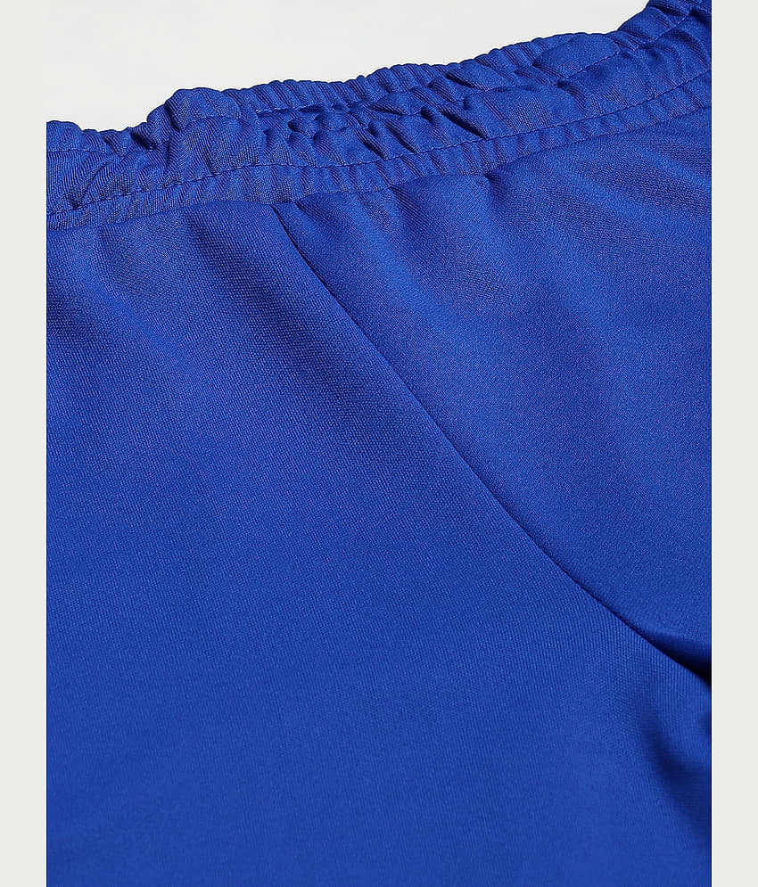 Alcis - Blue Polyester Men's Sports Trackpants ( Pack of 1 ) view 2