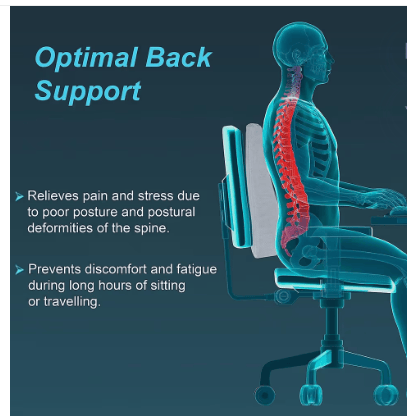 Tynor Back Rest Ergonomic Lumbar Back Support Cushion for Office Chair & Car Seat - Light Grey view 2