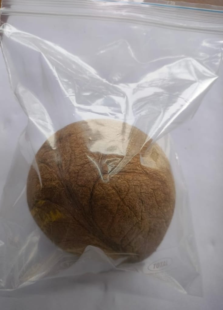 Dry coco ball,Dry coconut view 2