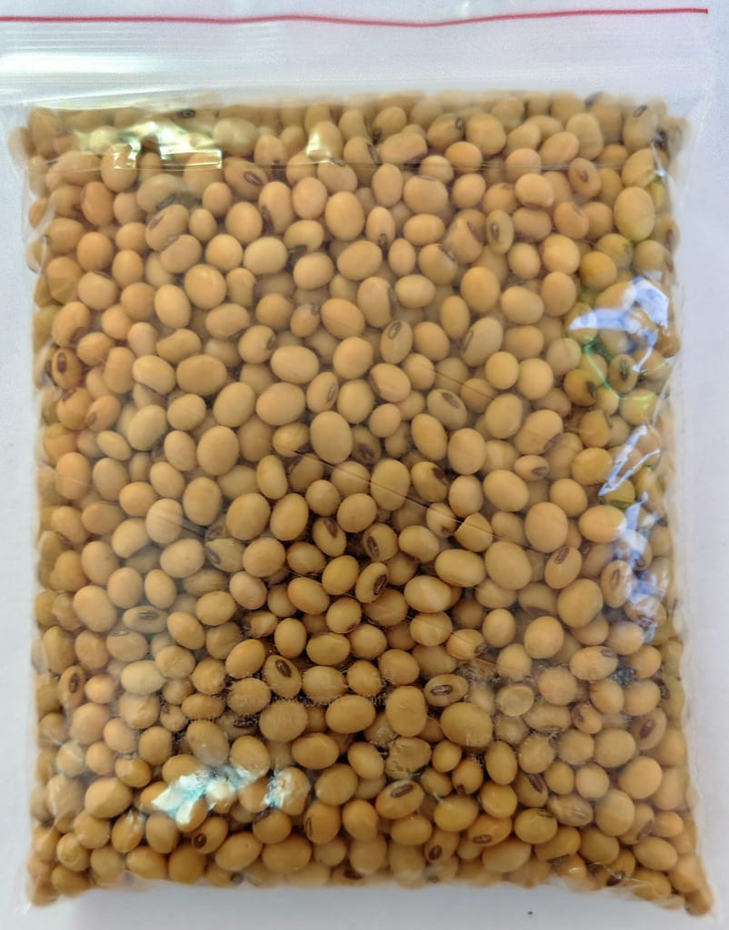 Soyabean view 2