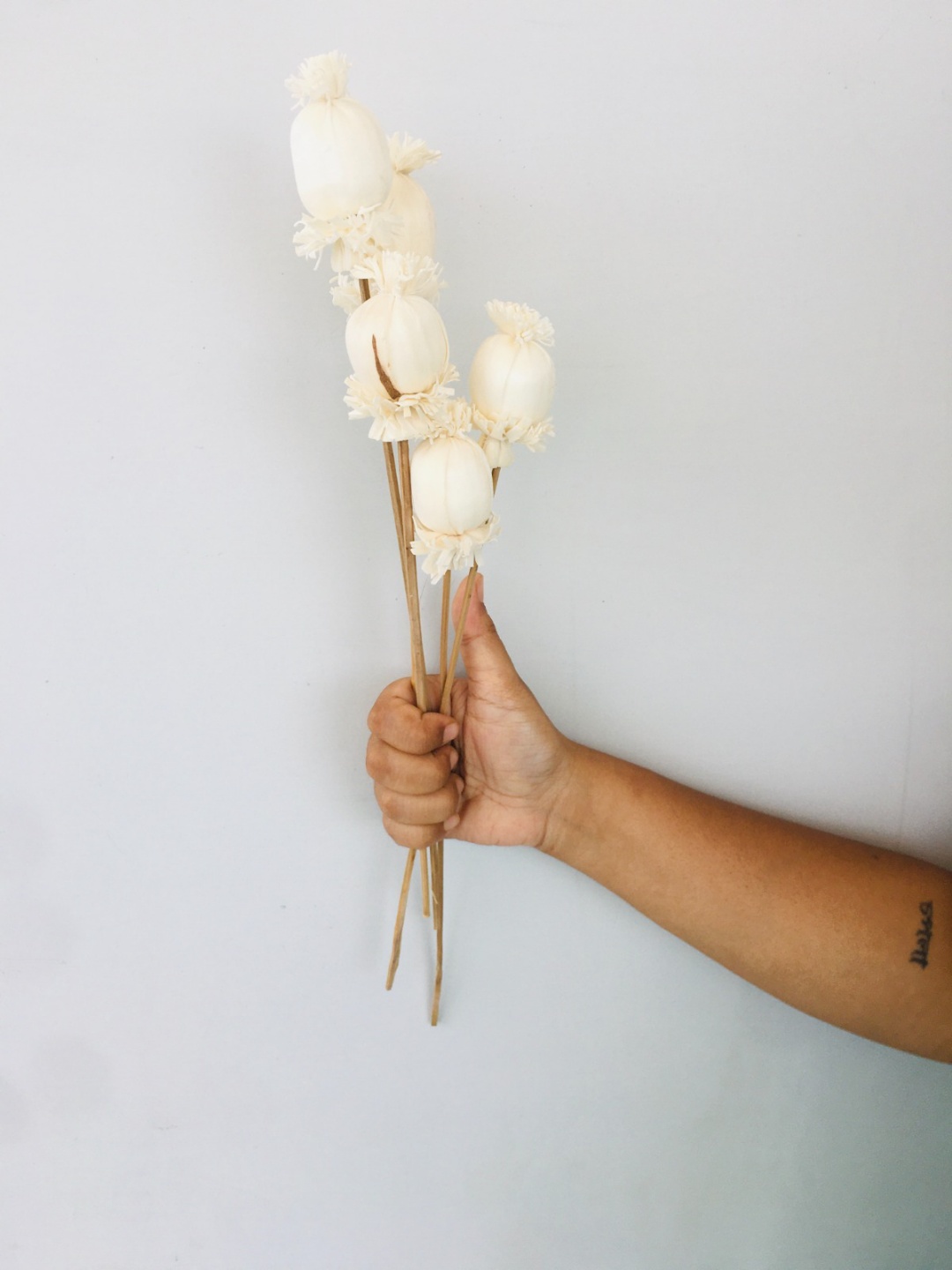 Buds Sola Flower (5pcs) view 2