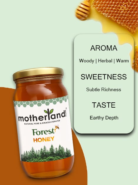 Pure & Raw Wild Forest Honey | Motherland Pure view 2