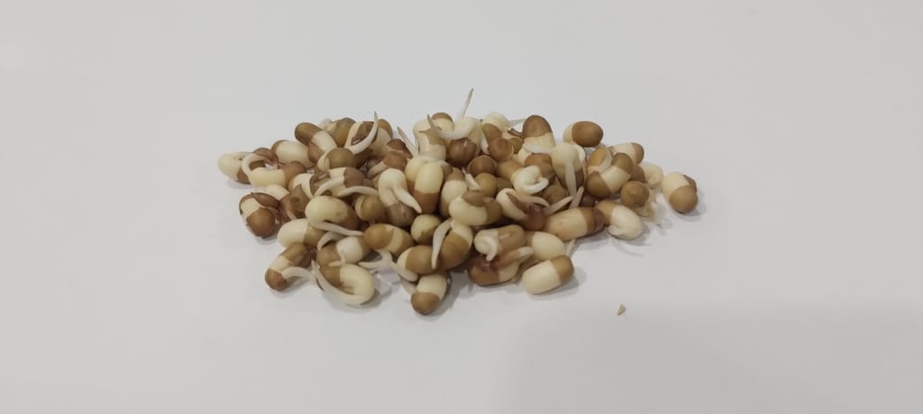 Zenvruta Naturals moth sprouts 200g view 2