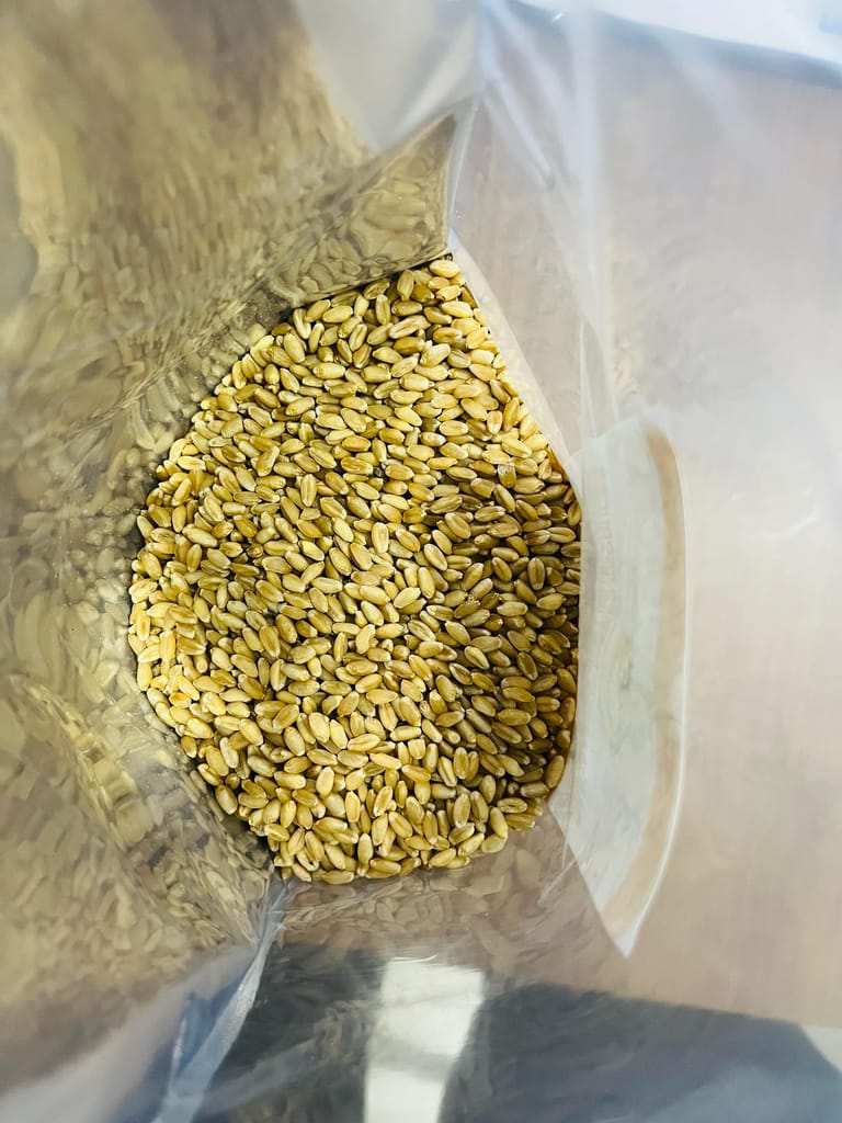 Wheat(1kg) view 2