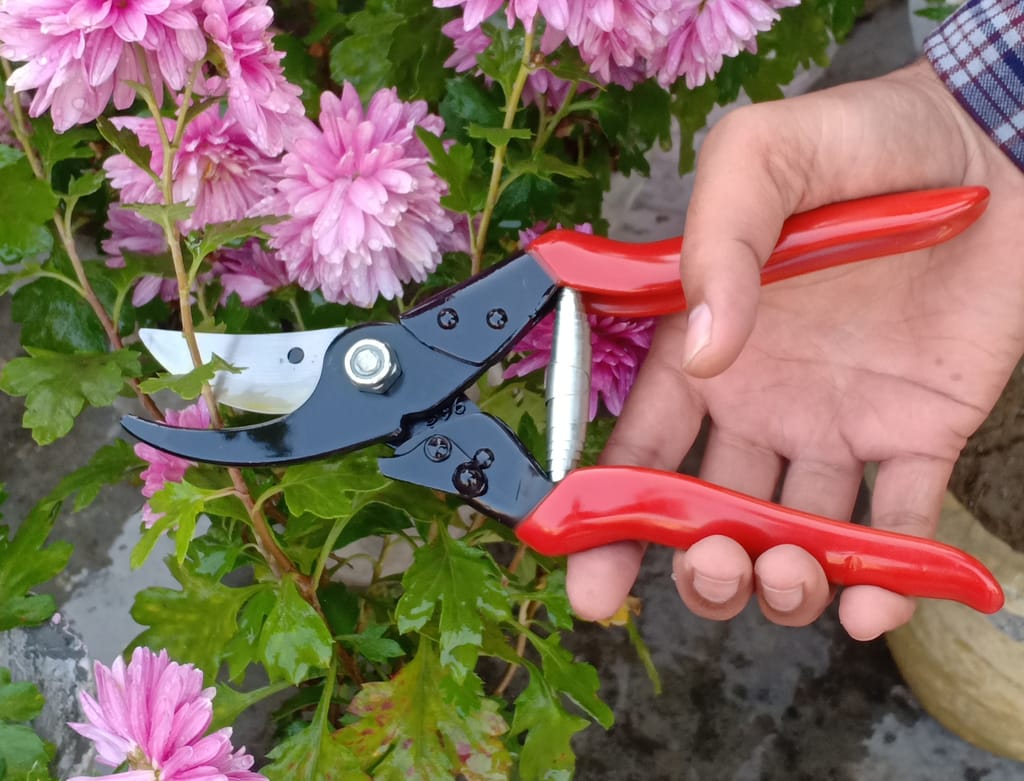 Major And Big Trowel Garden Tool Kit (2 Tools) view 2