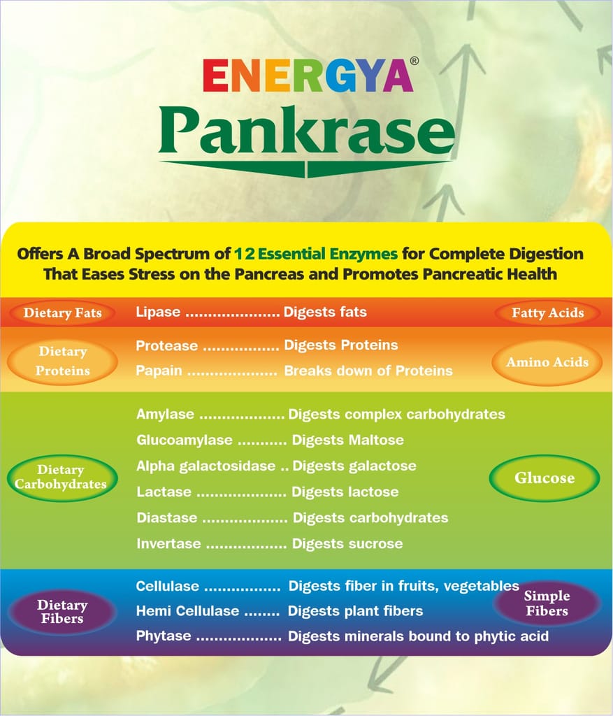 ENERGYA Pankrase - Multi Digestive Enzyme Capsules view 2