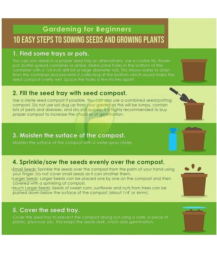 6 Varieties of Flower 60+ Seeds Combo For Your Garden Beautiful Bloom Germination Seeds and instruction manual view 2