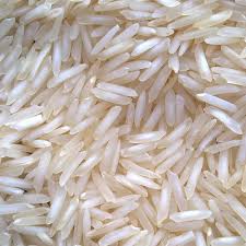 Ranjit Rice view 2