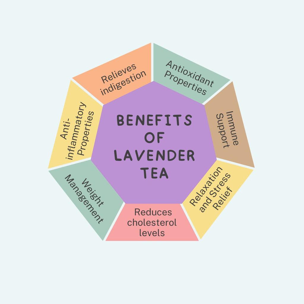 Wemalley Organic Lavender Flowers Lemon Tea Teabags 40 grams| Treats Migraine| Reduces Stress & Anxiety| Rich in Antioxidants| 0% Bitterness| 20 Teabags view 2
