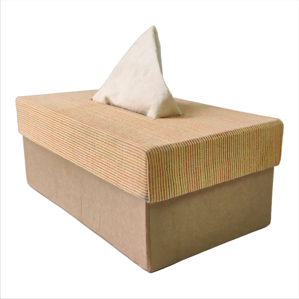 OASIS Tissue Box view 2