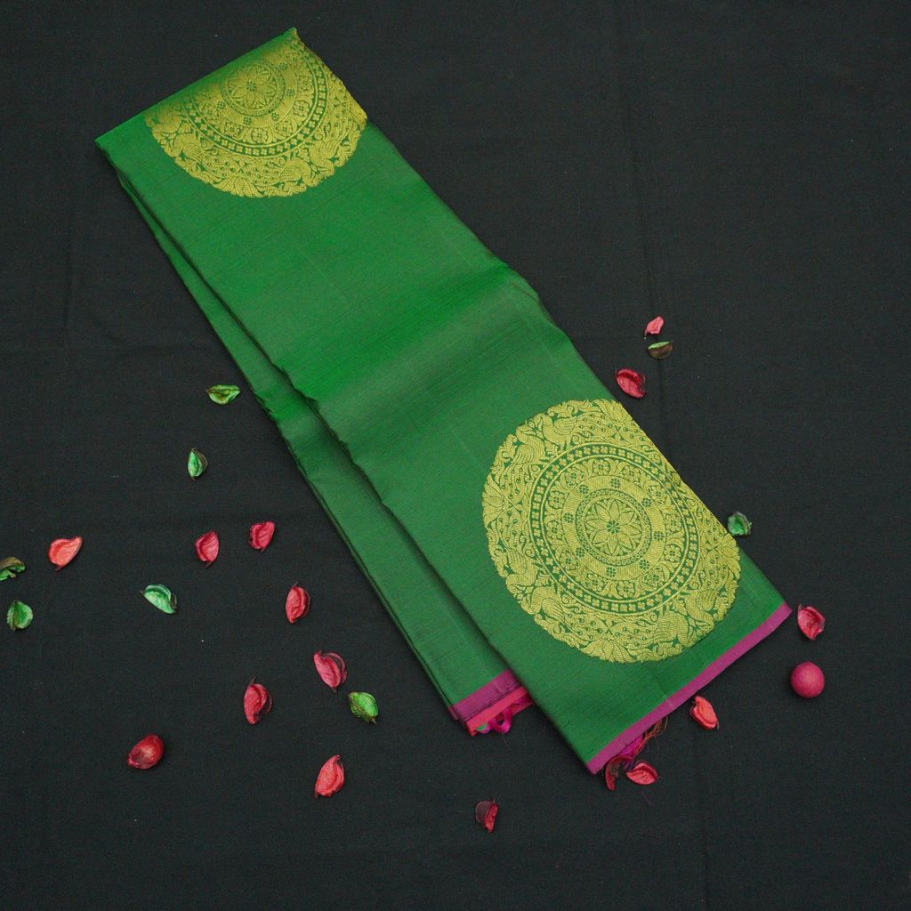 Bottle Green Borderless Pattu Saree - Luxurious Design view 2