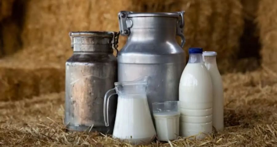Fresh Dairy Cow Milk - 300 gm - One bottle of fresh milk view 2
