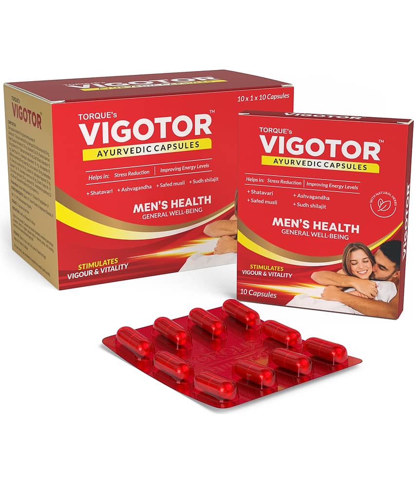 VIGOTOR view 2