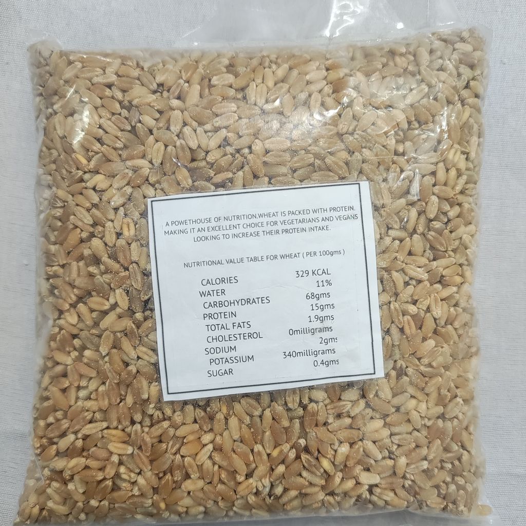 Wheat 500gm view 2