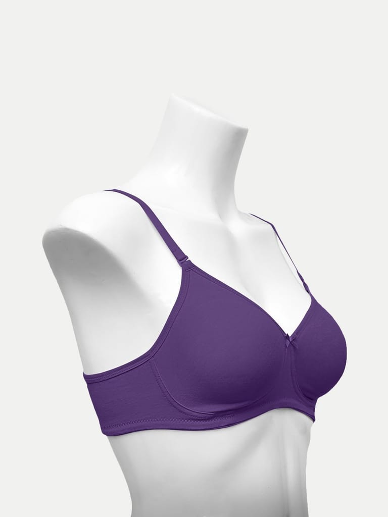 Women Zara Bra Violet Color view 2