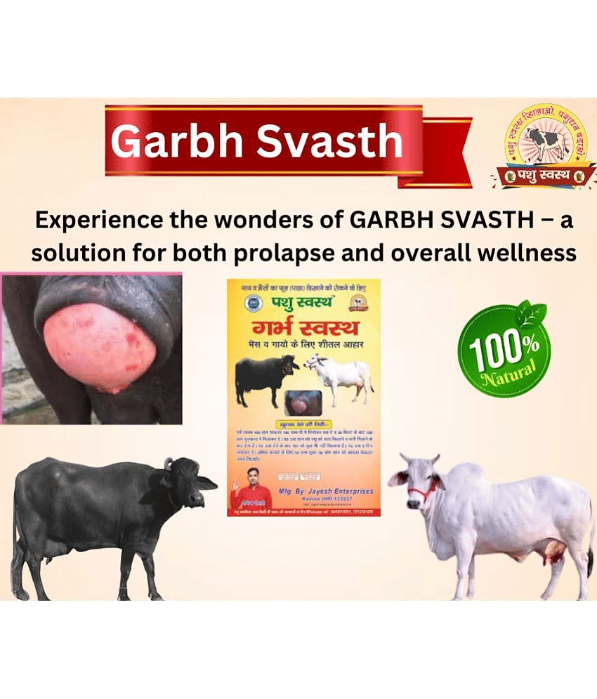GARBH SVASTH -Herbal Cattle Prolapse & Uterine Health Solution-1KG view 2