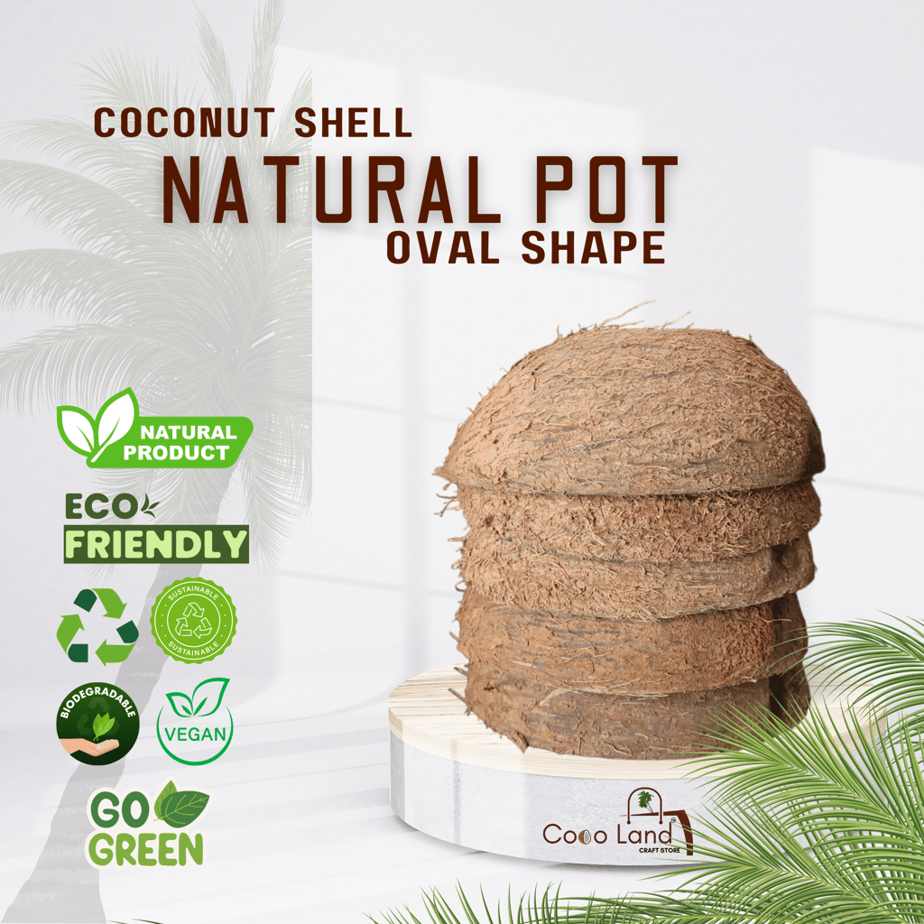 Coco Land Coconut Shell Natural Oval Pot (LARGE SIZE Pack of 30) 250 ml Decorative Pots/Showpieces/Candle Making Bowl /Handicraft/Agro Craft view 2