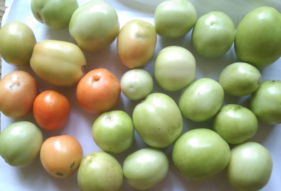 Tomato - 1 kg - 1 Pack view 2