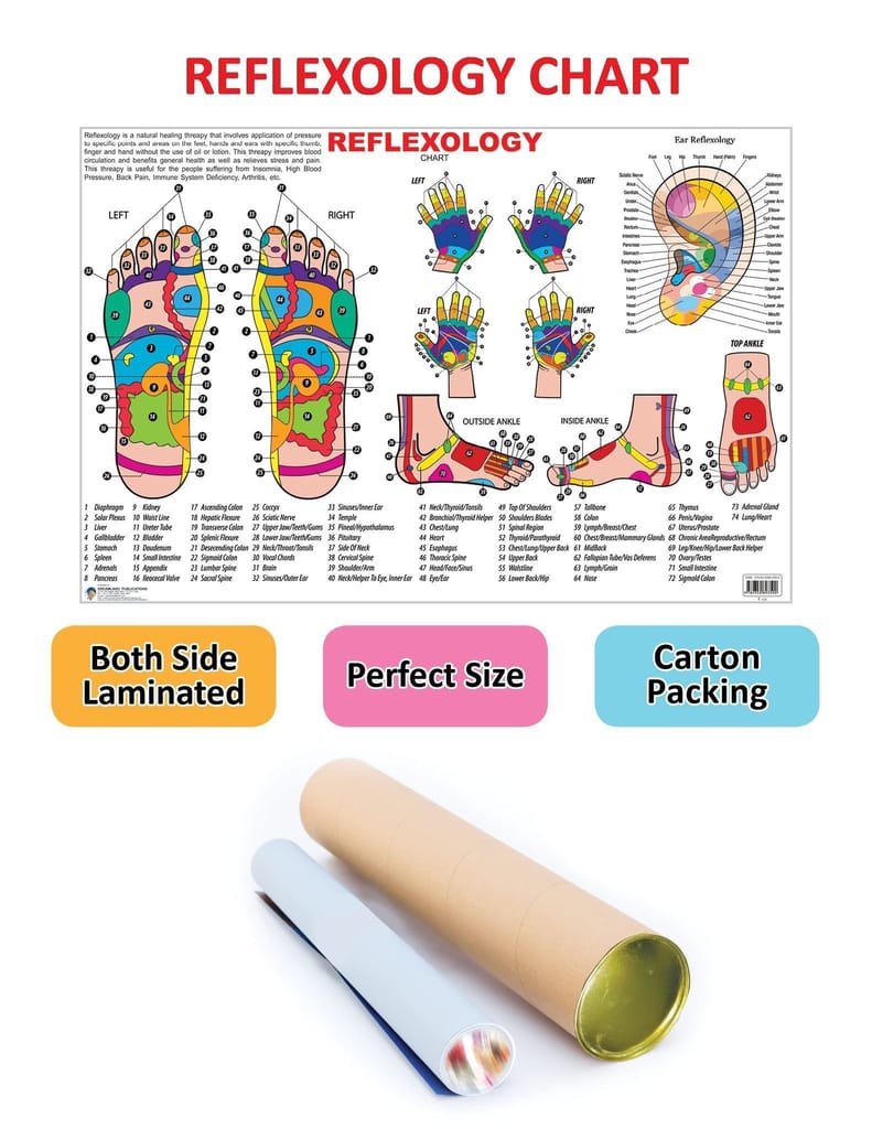 Reflexology [Poster] Dreamland Publications view 2