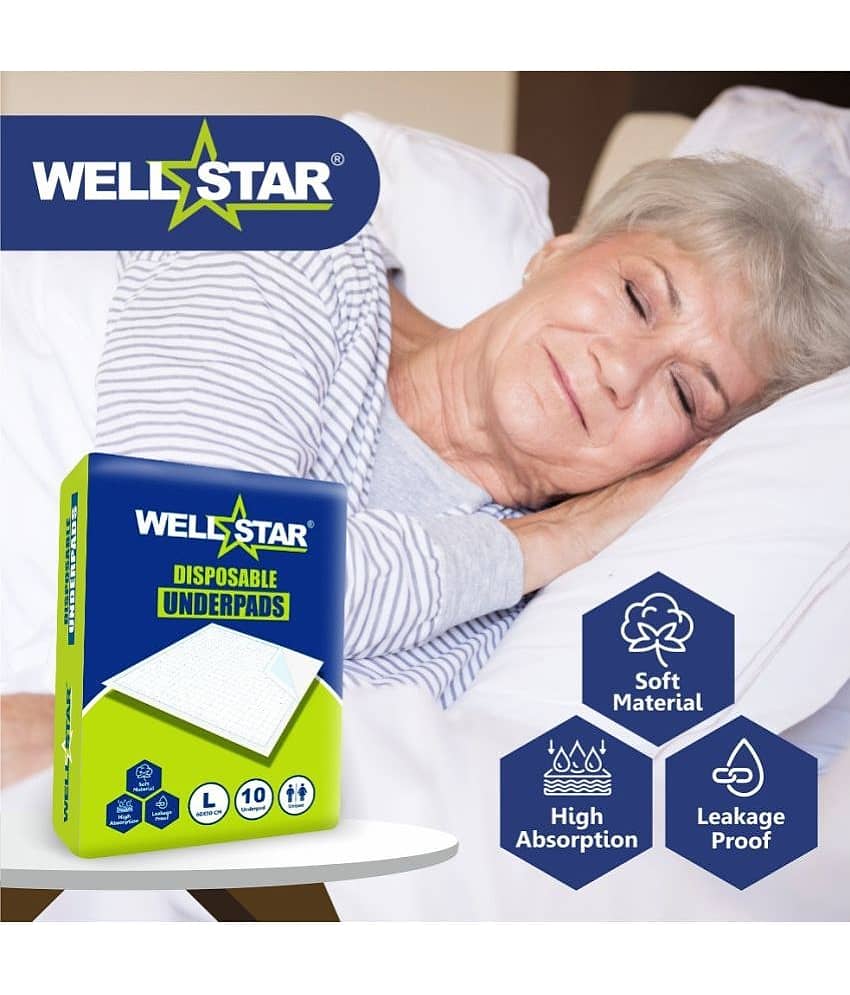 Wellstar Large 30 Pcs Pack of 3 view 2