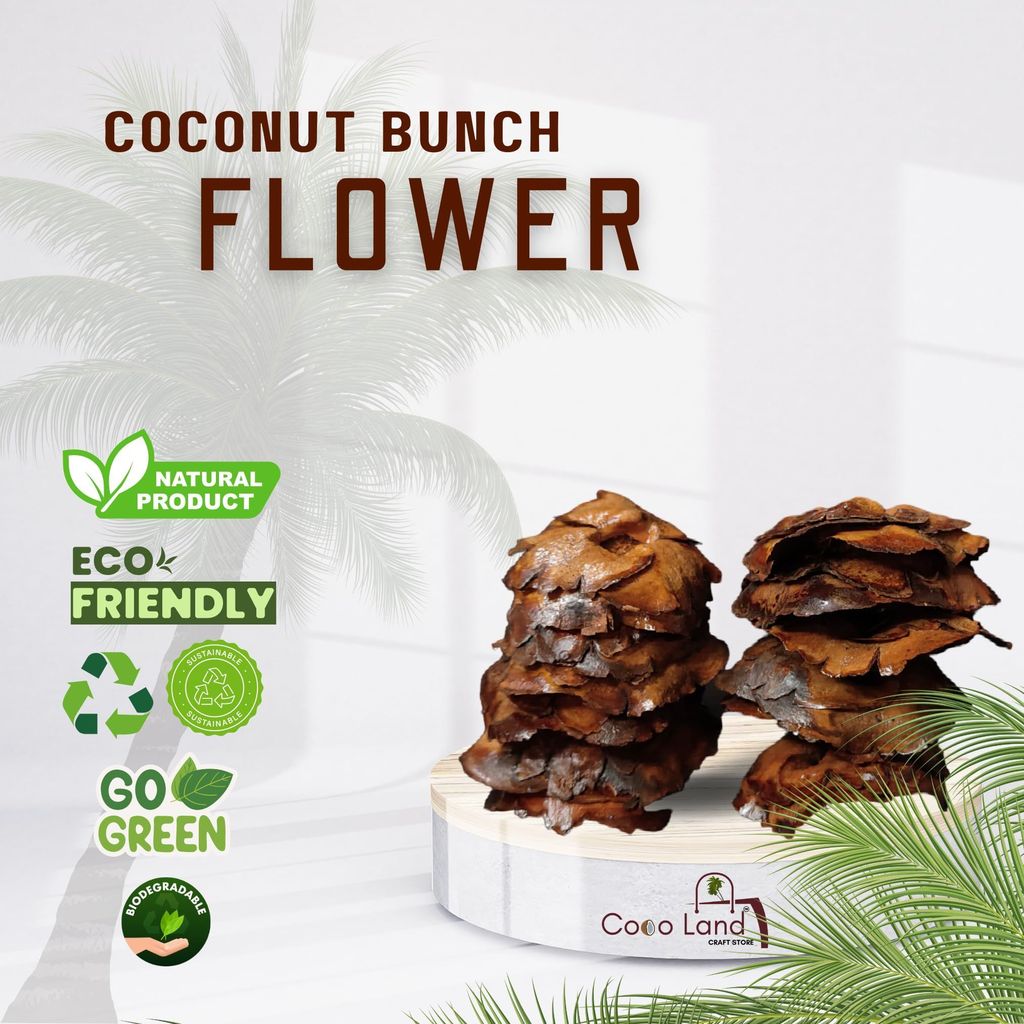 CocoLand Coconut Bunch Flower Pack of 12 Varnished /Dry Flower /Artificial Flower /Raw Flower view 2