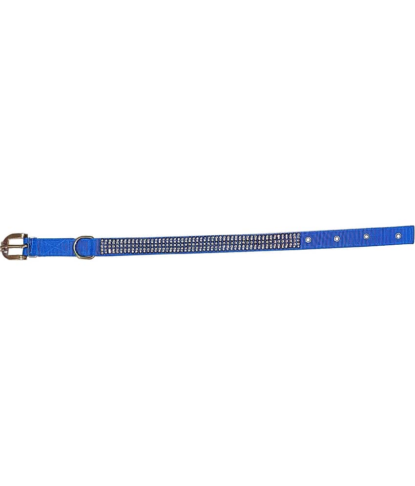 Petshop7 Blue Collar ( Large ) view 2