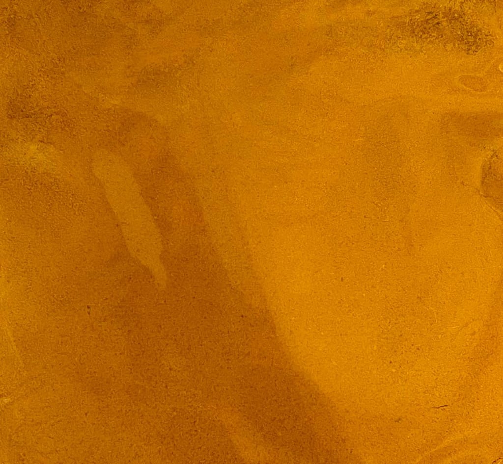 Turmeric view 2