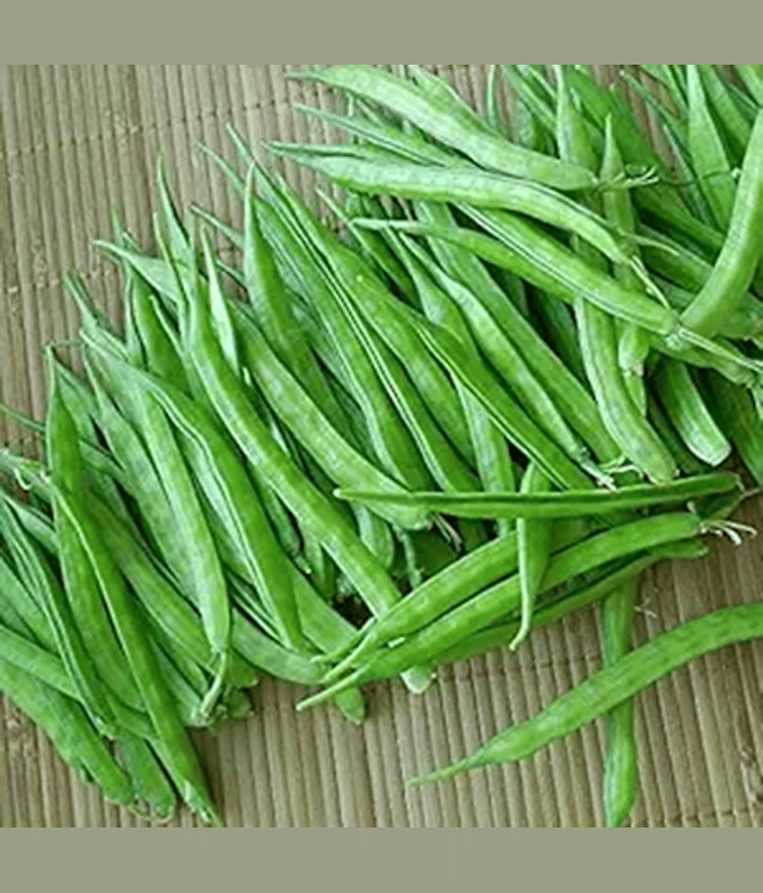PARTHVA SEEDS Hybrid Cluster Beans Vegetable ( 100 Seeds ) view 2