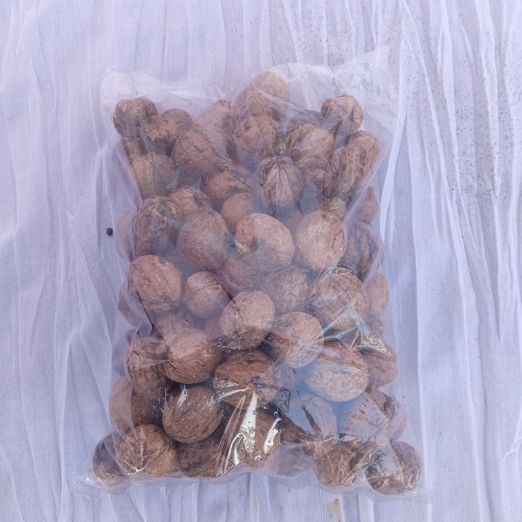 Organic Walnuts view 2