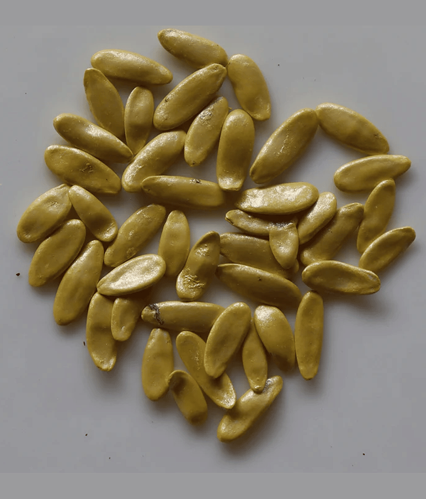 PARTHVA SEEDS Organic Kakdi Vegetable ( 100 Seeds ) view 2