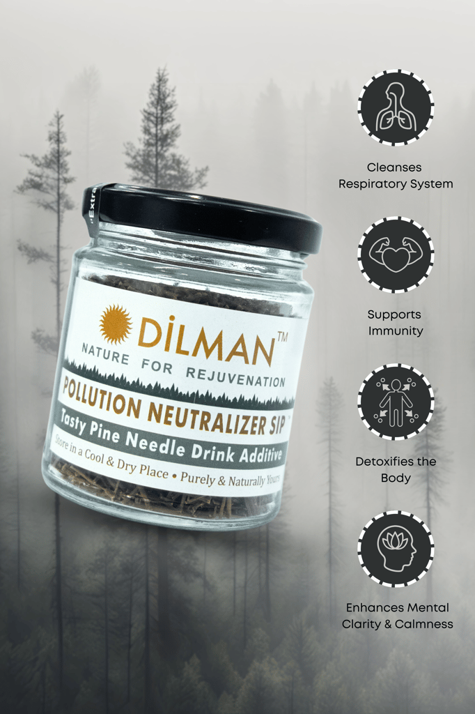 Dilman Pure Pine Needle Drink - Natural Pollution Neutralizer for Rejuvenation view 2