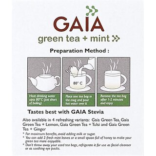 GAIA Green Tea Mint Mint Green Tea Box (2 x 12.5 Sachets) view 2