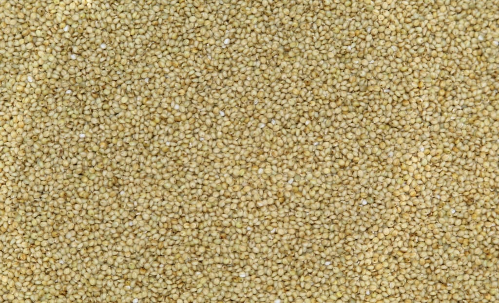 Brown Top Millet ( Unpolished grains ) view 2