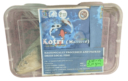 Dried Kotri Fish ( Mahseer) view 2