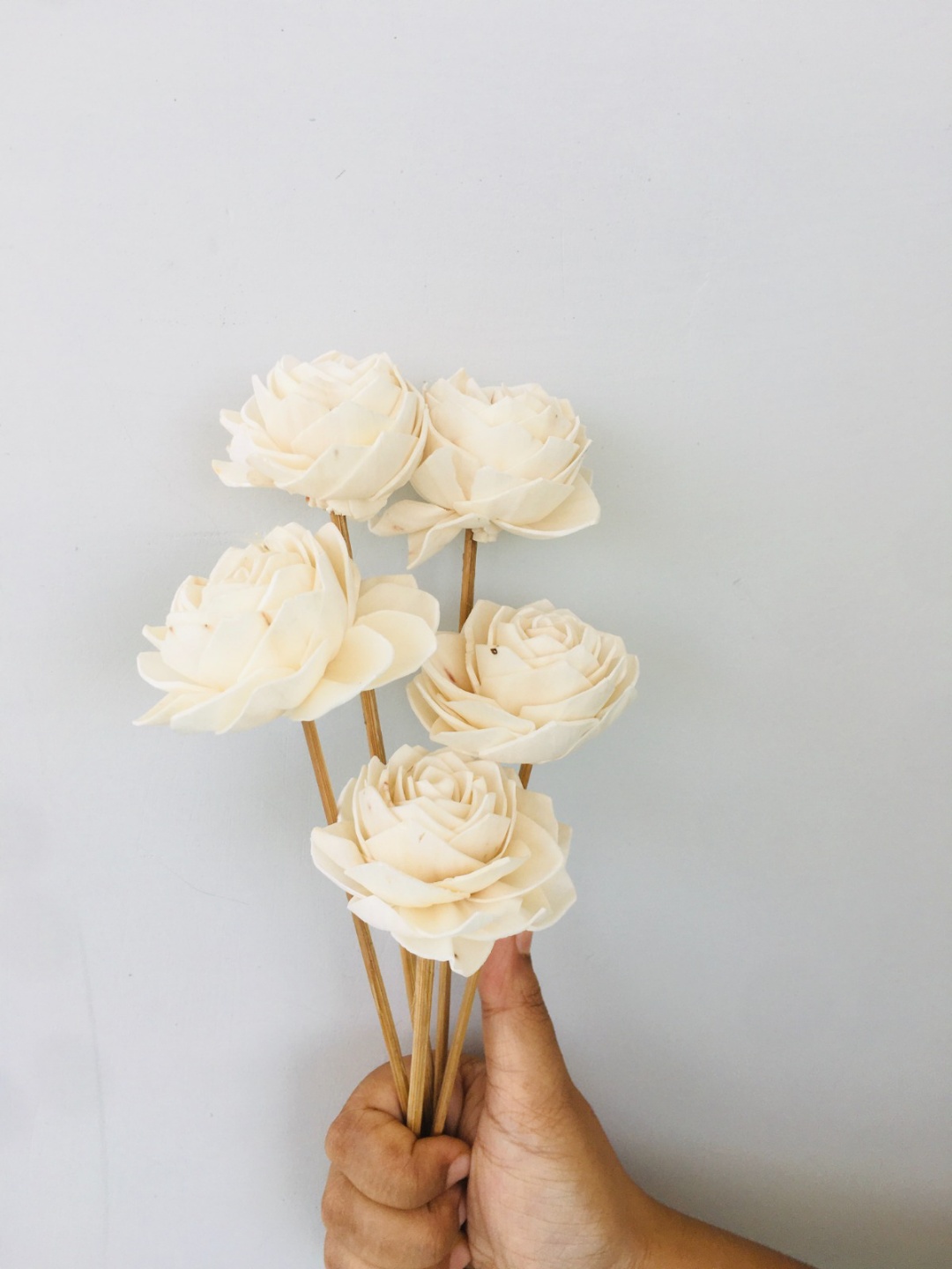 Dahlia Sola Flower (5pcs) view 2