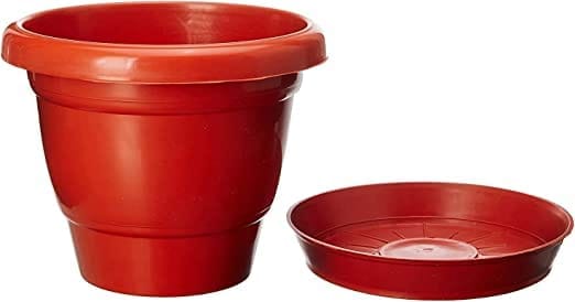 Raabbo Plastic Round 10 inch Flower pots with Tray | for Home, Garden, Balcony | Plant Container Set | Pack of 12 view 2