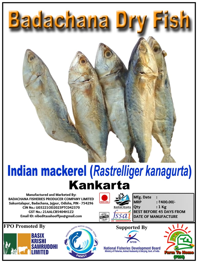 Indian mackerel (Rastrelliger kanagurta) | Kankarta | Badachana Dry Fish | 1Kg view 2