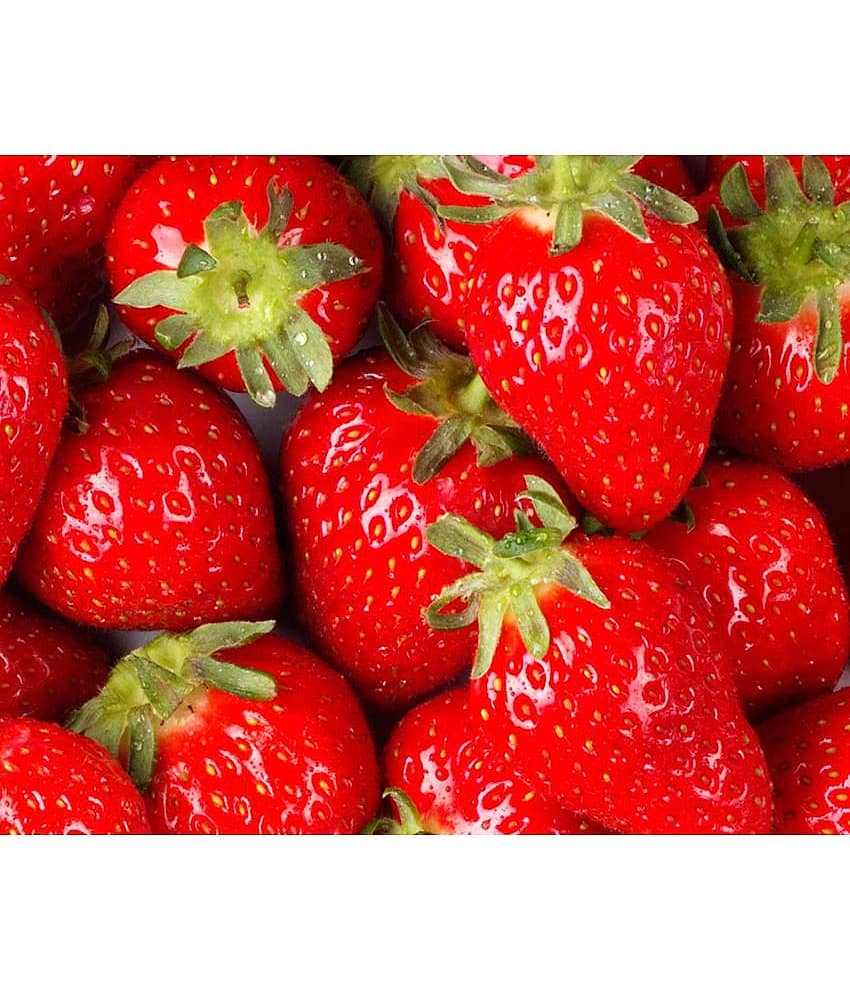 GREEN INDIA STRAWBERRY FRUIT FREES HYBRID SEEDS view 2
