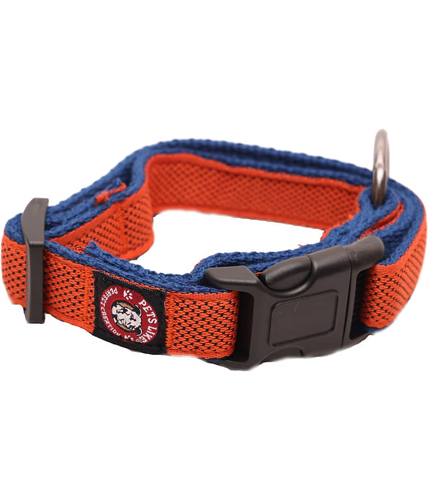 pets like Black Collar ( Large )