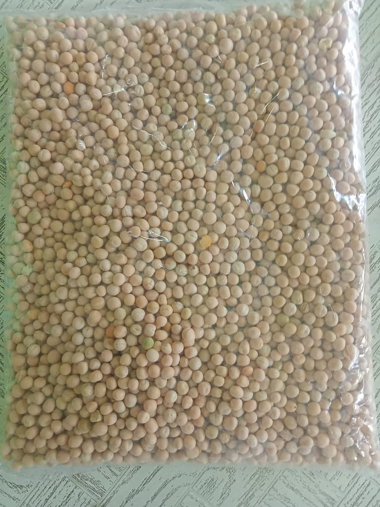 Safed Matar Seeds view 2