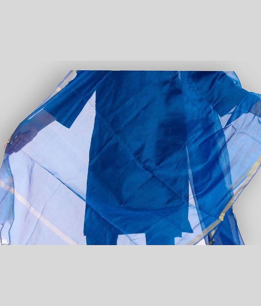 Apratim Blue Chanderi Banarasi Dupatta view 2